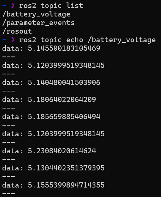 Micro-ROS Topic Echo