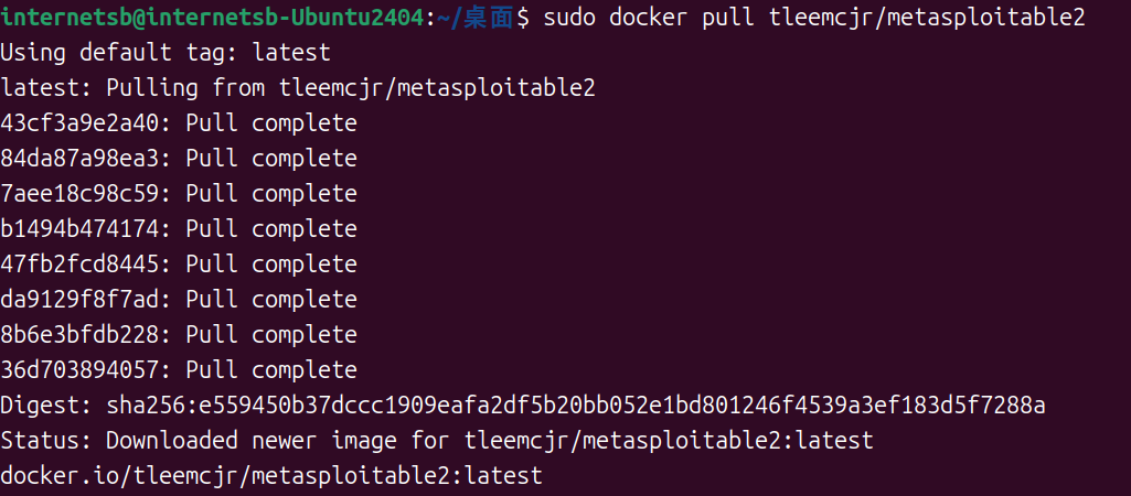Docker 拉取 Metasploitable 镜像