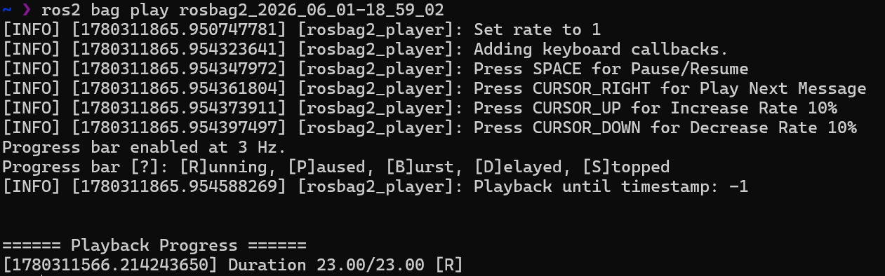 bag_play