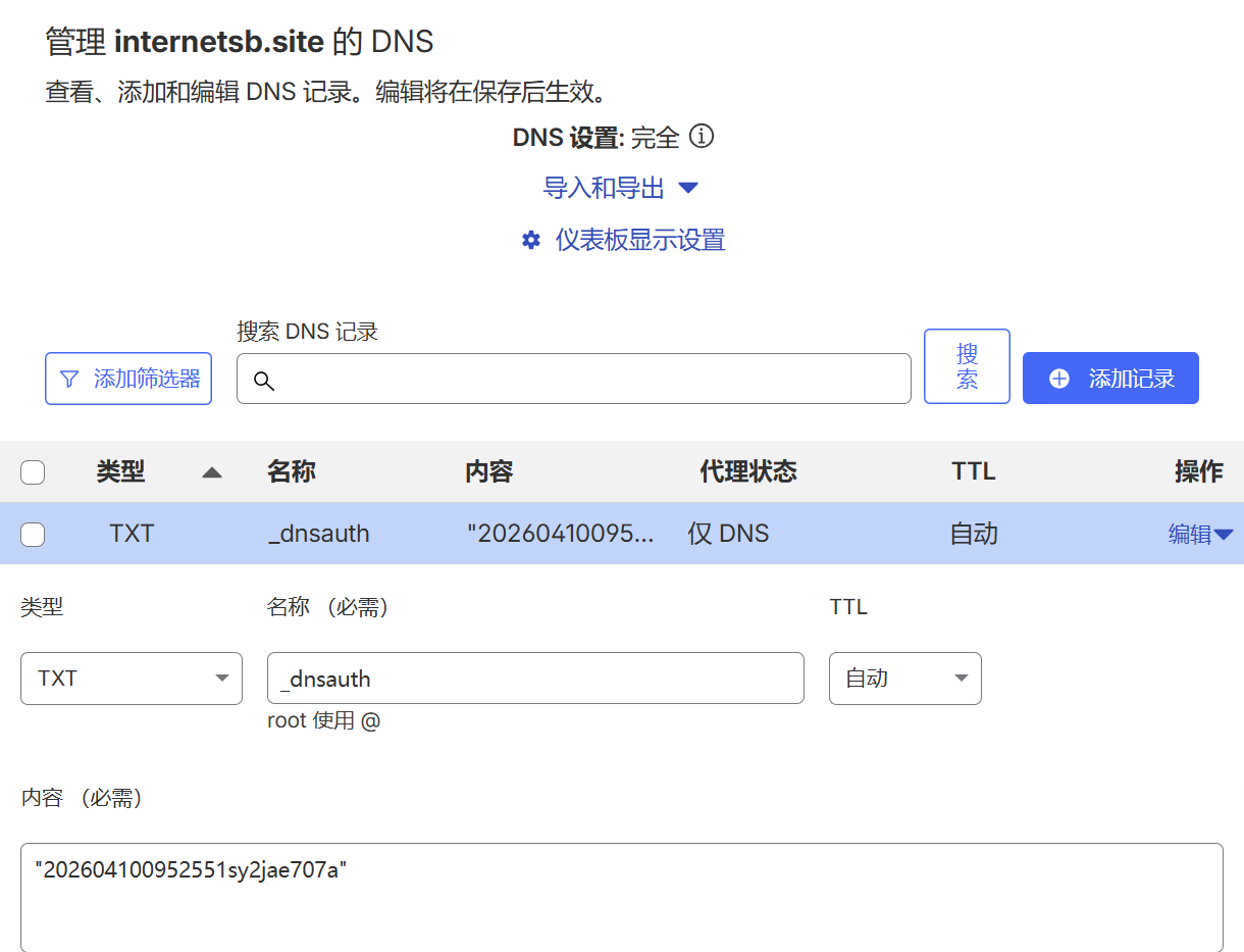 DNS 验证配置